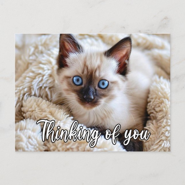 I Miss You - Cute Siamese Cat Postcard (Front)