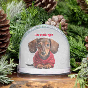 I Miss You Dachshund Puppy Snowglobe