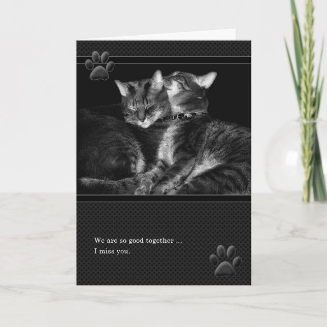 I Miss You Grey Tabby Cats Card (Front)