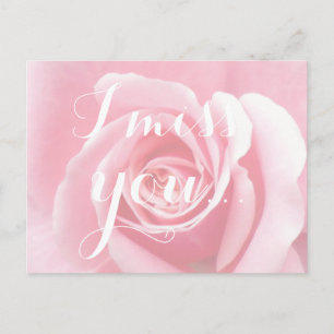 I miss you, Handwriting Typography Pink Rose Postcard