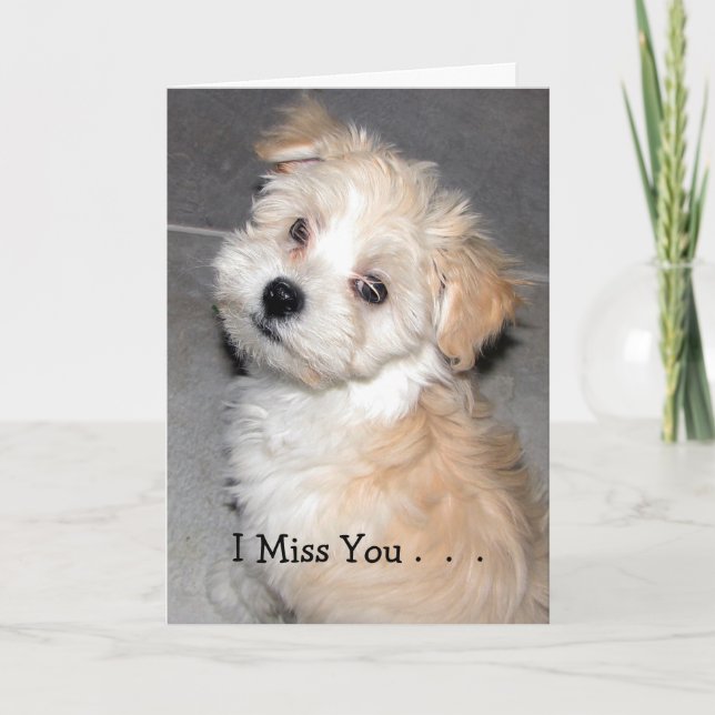 I Miss You. - Havanese puppy Card (Front)