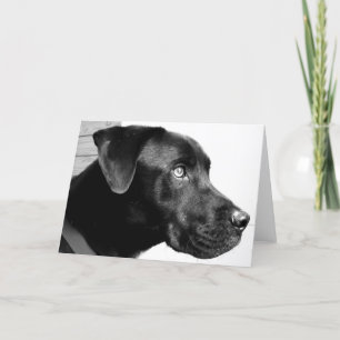 I miss you man! card