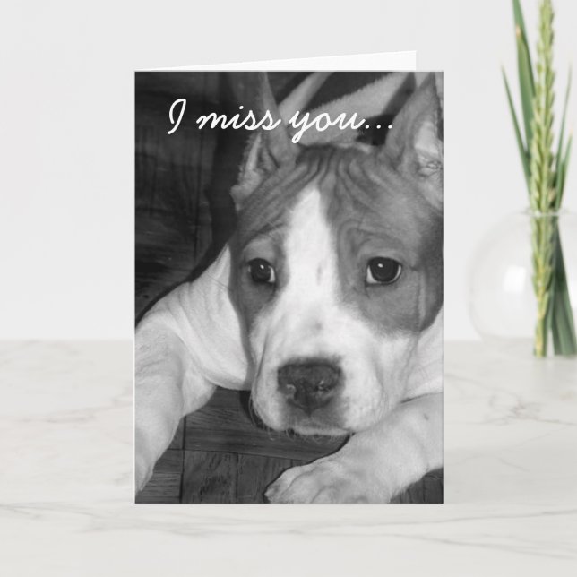 I miss you pitbull greeting card (Front)