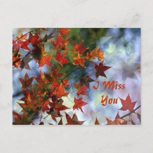 I Miss You Postcard