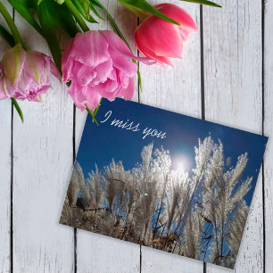I miss you Postcard