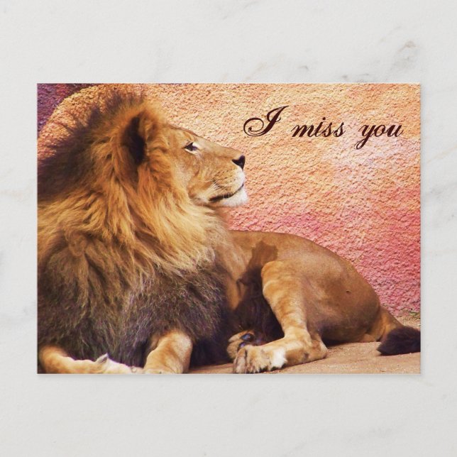 I miss you_ Postcard (Front)