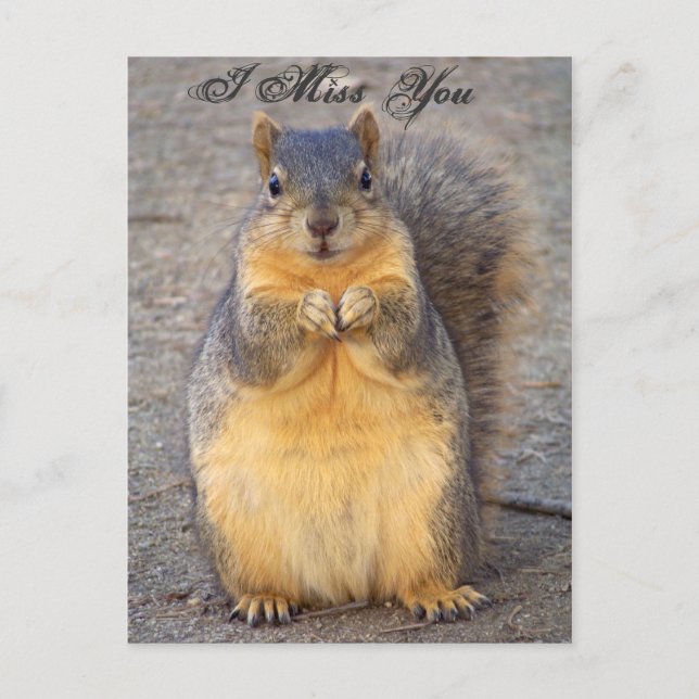 I Miss You_ Postcard_by Elenne Boothe Postcard (Front)