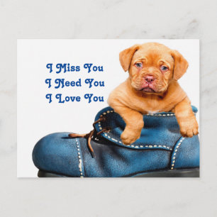 I Miss You Puppy Postcard