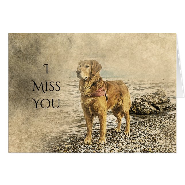 I MISS YOU SAD DOG (Front Horizontal)