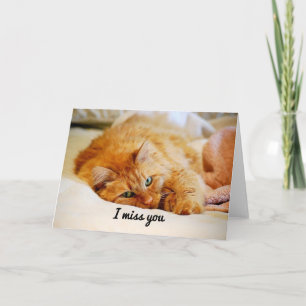 I Miss You, Sweet Orange Maine Coon Cat Card