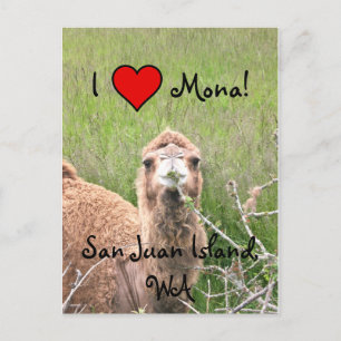 I ♥ Mona! Postcard