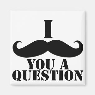 I Moustache You A Question Magnet