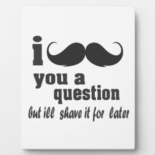 I moustache you a question plaque