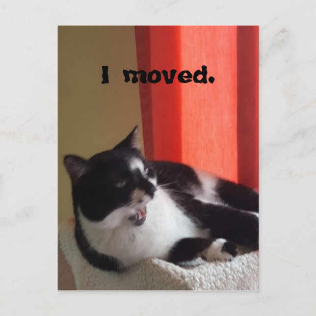 I moved Cute Tuxedo Cat Talking Photo Postcards (Front)