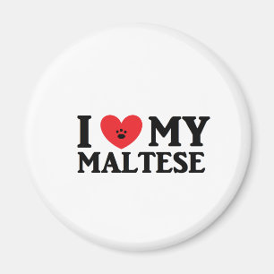 I ♥ My Maltese Magnet
