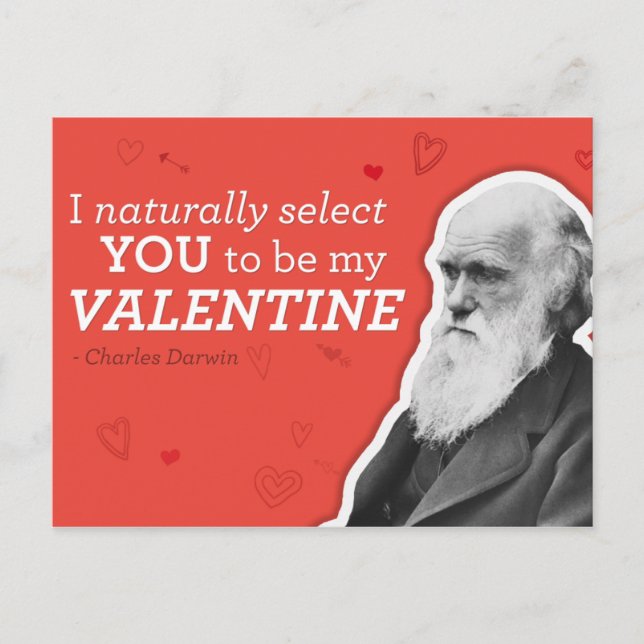 I Naturally Select You To Be My Valentine - Darwin Holiday Postcard (Front)