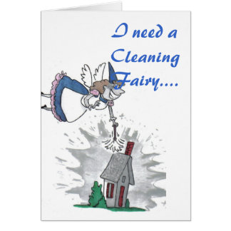 I need a Cleaning Fairy....