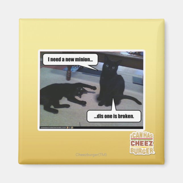 I need a new minion magnet (Front)