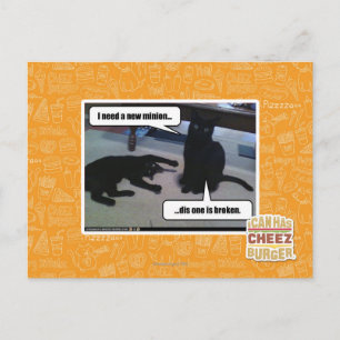 I need a new minion postcard