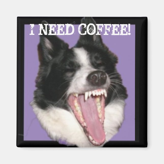 I need coffee! magnet (Front)
