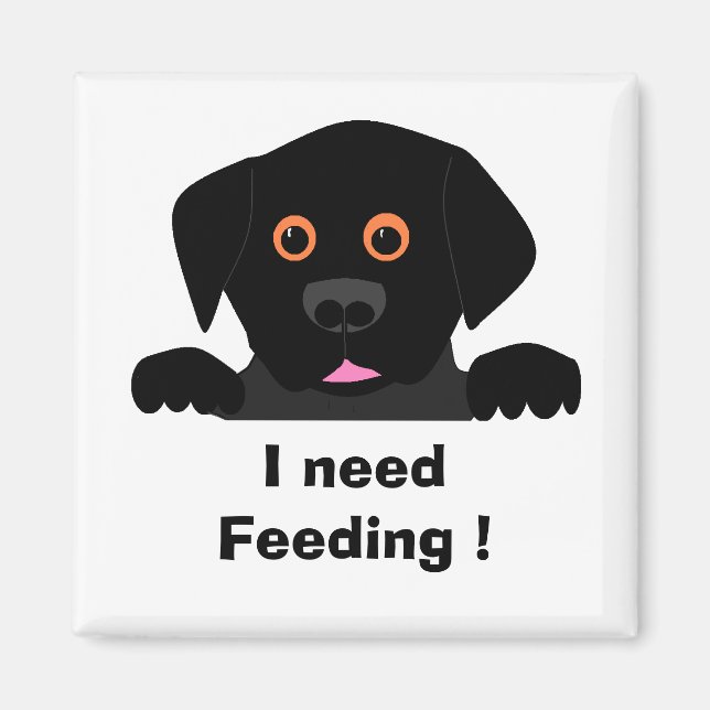 , I need Feeding ! Magnet (Front)