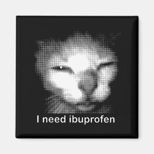I Need Ibuprofen Cat Meme Funny Silly Cat Ironic W Magnet