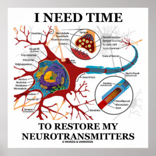 I Need Time To Restore My Neurotransmitters Poster
