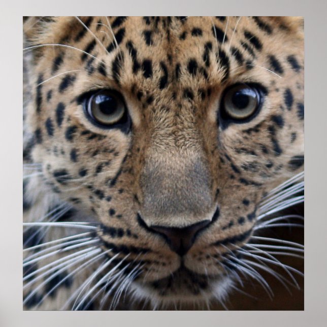 I Need You... Poster (Front)