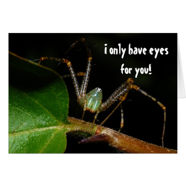 I Only Have Eyes For You (Front Horizontal)