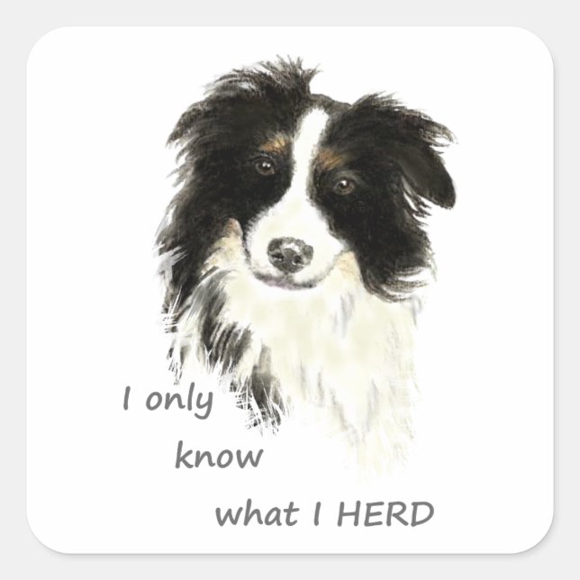 I only know what I herd Border Collie Dog Quote Square Sticker (Front)