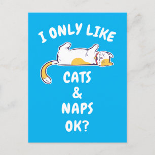 I ONLY LIKE CATS & NAPS OK? POSTCARD