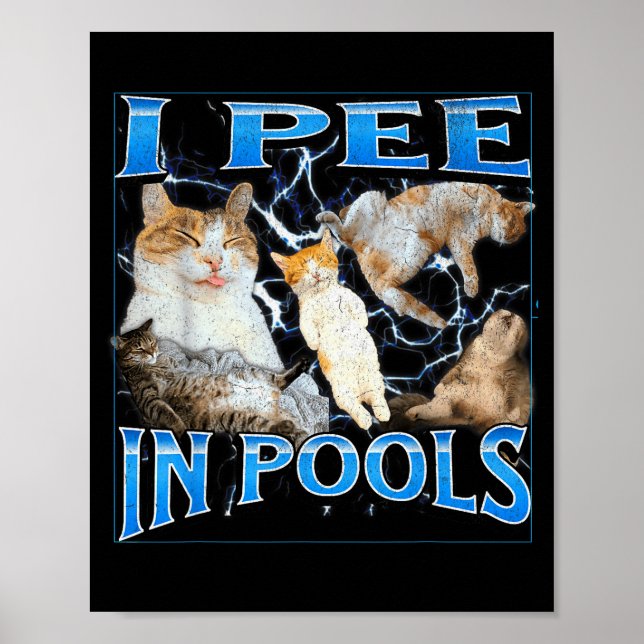 I Pee In Ols Funny Offensive Cat Meme Bootleg Grap Poster (Front)