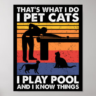 I Pet Cats I Play Pool And I Know Things1  Poster