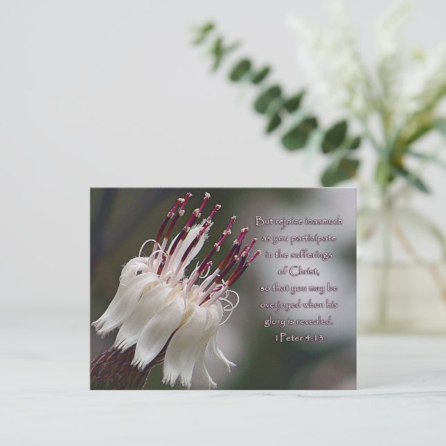 I Peter 4:13 Inspirational Floral Postcard (Standing Front)