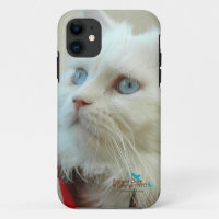 I-phone 5 case "Walter the cat"