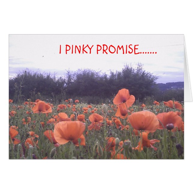 I PINKY PROMISE....... (Front Horizontal)