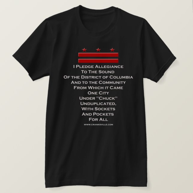 I Pledge Allegiance T-Shirt (Design Front)