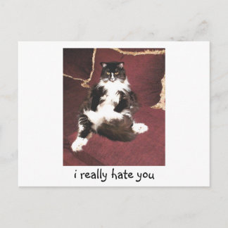 i really hate you postcard