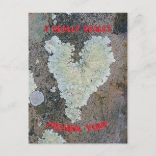 I Really Really Lichen You Postcard