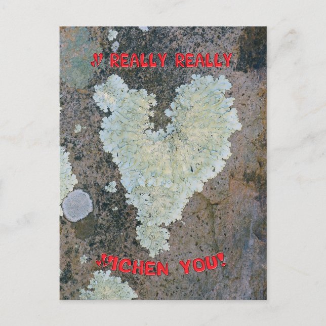 I Really Really Lichen You Postcard (Front)