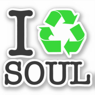 I Recycle Soul