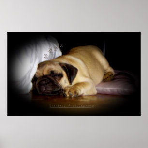 'I Rejoice In The Love I Encounter Everyday' Poster