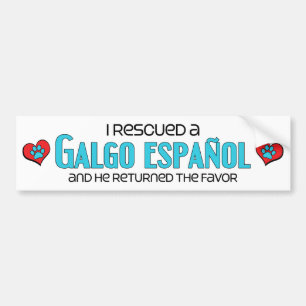 I Rescued a Galgo Español (Male Dog) Bumper Sticker