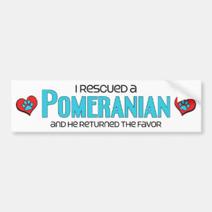I Rescued a Pomeranian (Male Dog) Bumper Sticker
