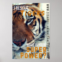 I Save Tigers Super Power