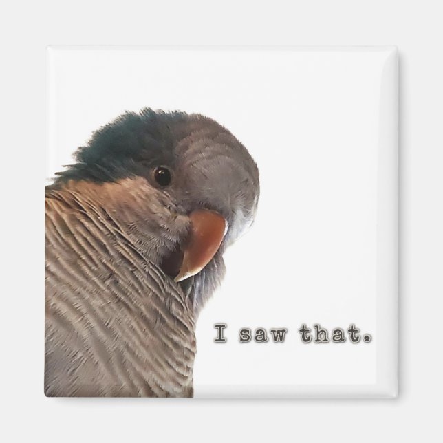 I saw that magnet (Front)