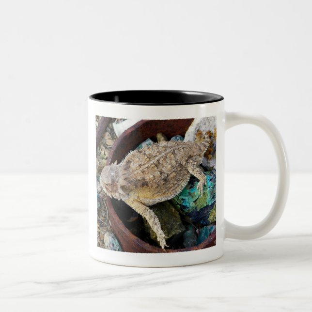 "I see a lizard on a rock" Two-Tone Coffee Mug (Right)