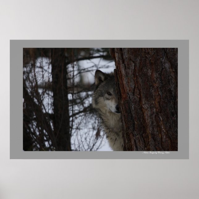 I See You Poster (Front)