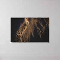 'I see your soul' Elephant eye