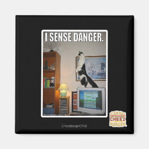 I sense danger magnet